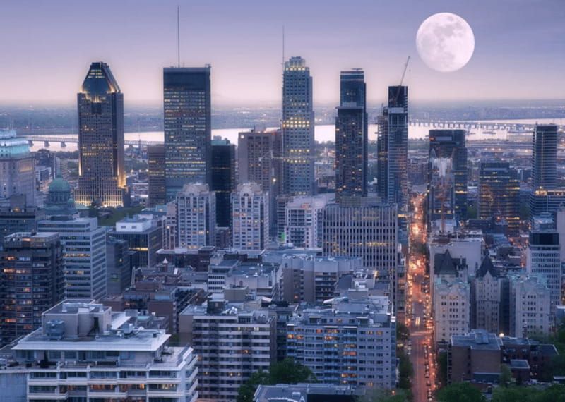 Montreal: Small Group Night Tour with La Grande Roue Entry - The guide can shape the evening