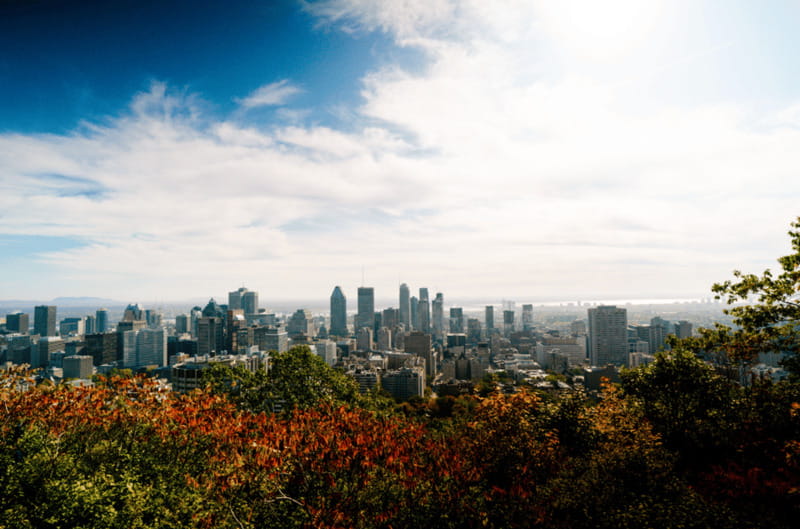 Montreal: Small Group Tour with River Cruise and Notre Dame - Cruising the St. Lawrence River