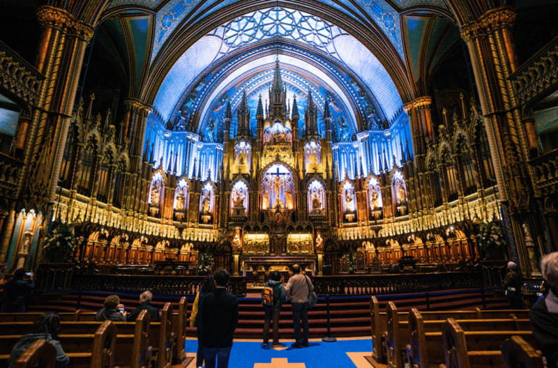 Montreal: Small Group Tour with River Cruise and Notre Dame - Starting above the city on Mont Royal
