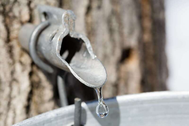 Montreal: Sugar Shack Maple Syrup Day Trip with Lunch - Seeing how maple syrup is made