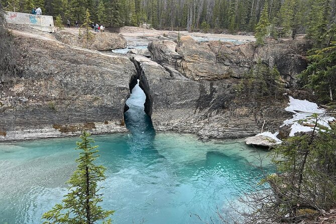 Moraine and Lake Louise with Yoho National Park Private Tour - Who should book this day?