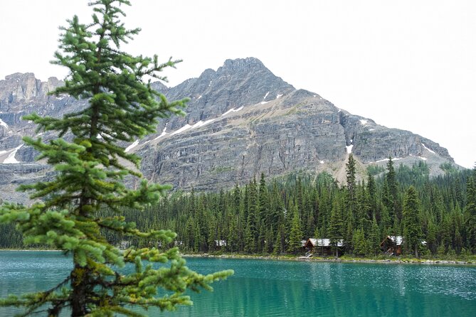 Moraine Lake and Lake Louise Sightseeing Half Day Tour - Price and what you actually receive