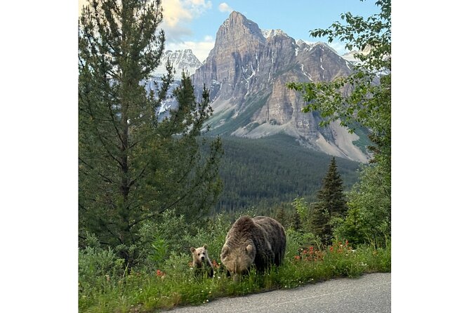 Moraine Lake, Lake Louise Afternoon Tour Half day From Banff - Why this half-day route works from Banff