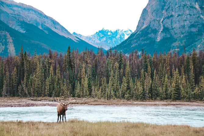Moraine Lake, Lake Louise & Banff Secrets | Award-Winning Tour - How the guides shape the experience