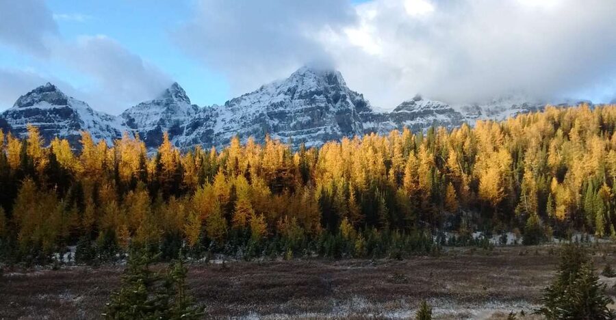 Moraine Lake & Larch Valley Hike - Key points at a glance