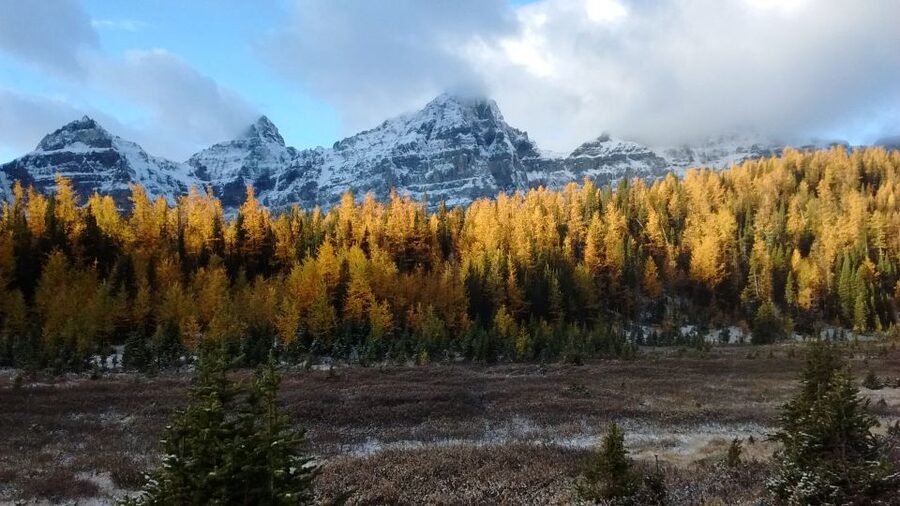 Moraine Lake & Larch Valley Hike - Larch Valley and the Ten Peaks