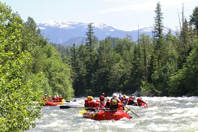 Nahatlatch River Rafting - 24 Amazing Rapids - Twenty-four rapids on the Nahatlatch River