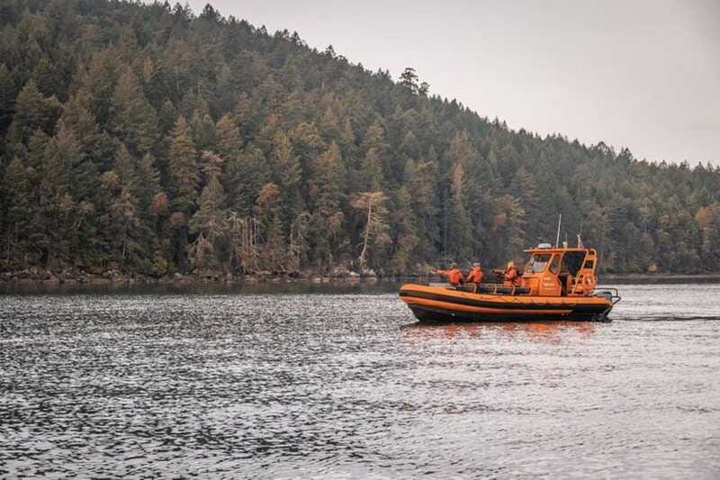 Nanaimo: Whale Watching Open Boat Tour - A marine biology guide, not just a spotter