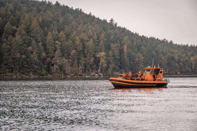 Nanaimo: Whale Watching Open Boat Tour - Starting at 90 Front Street