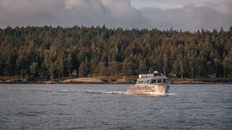 Nanaimo: Whale Watching Semi-Covered Boat Tour - What the semi-covered boat feels like
