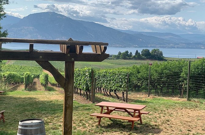 Naramata Full Day Lunch Wine Tour- Incl. Tasting Fees & Gratuity! - Ruby Blues, Deep Roots, and the pleasure of variety