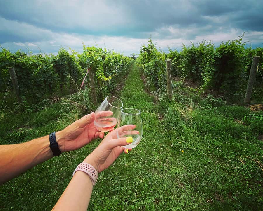 Niagara: A Twilight Wine Adventure With 3-Course Dinner - Four wineries, one carefully packed afternoon