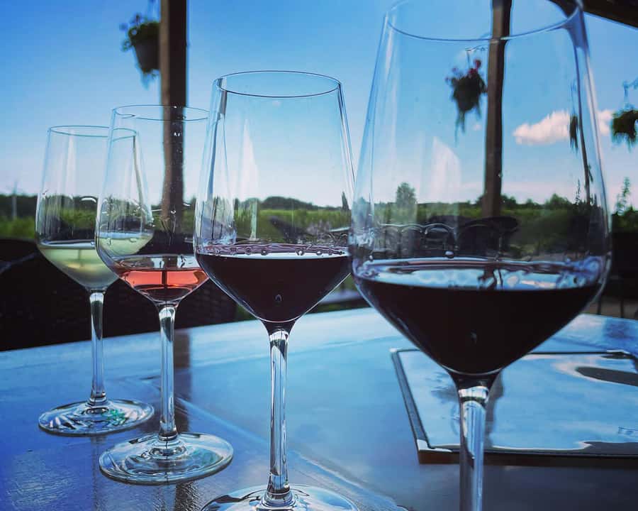 Niagara: A Twilight Wine Adventure With 3-Course Dinner - Pickup rules are important