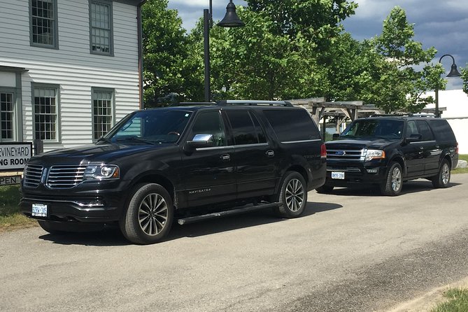 Niagara Buffalo Airport Departure: Private Transfer to Buffalo Niagara Airport - Choosing between a sedan, van, and mini coach