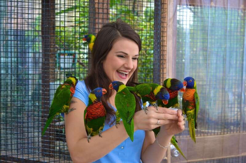 Niagara Falls, Canada: Bird Kingdom Entry Ticket - Bird Kingdom at a glance