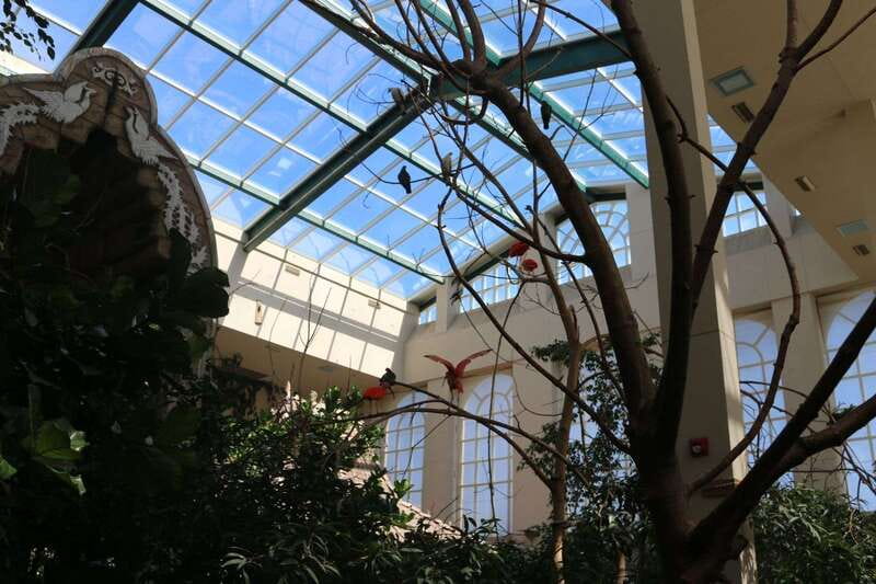 Niagara Falls, Canada: Bird Kingdom Entry Ticket - Why Bird Kingdom is different from a standard bird exhibit