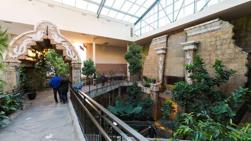 Niagara Falls, Canada: Bird Kingdom Entry Ticket - Lorikeet Landing and the extra-fee feeding experience