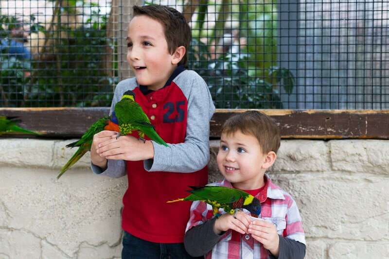 Niagara Falls, Canada: Bird Kingdom Entry Ticket - Price, value, and what is included