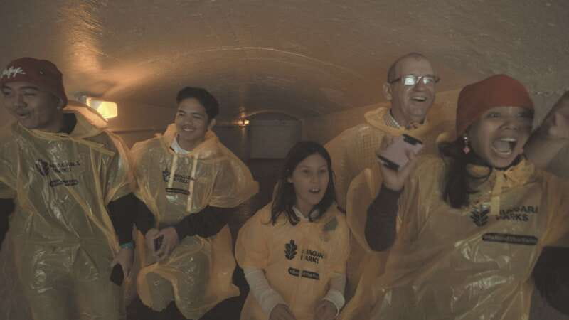 Niagara Falls: Day & Night Tour with Boat Ride and Dinner - Why the light-control visit is the grand finale