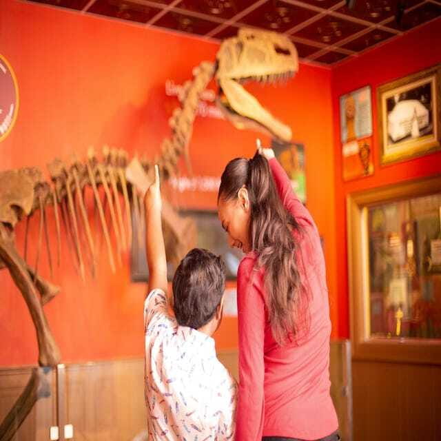 Niagara Falls: Ripley's Believe It or Not! Museum Entry - Access, comfort, and who should take care