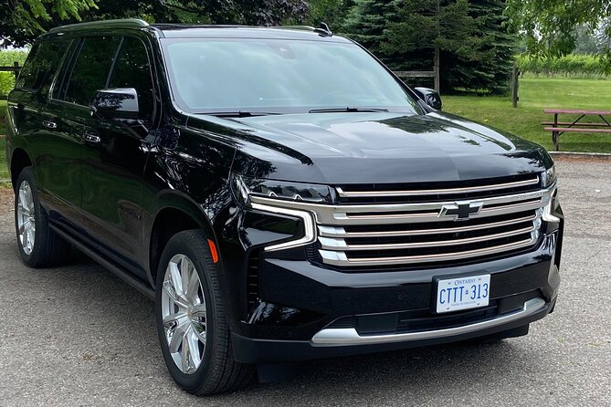 Niagara Falls to Pearson Toronto Airport Private Transfer - What the 90-Minute Drive Is Like