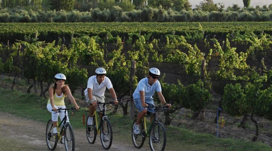 Niagara-on-the-Lake: Bicycle Tour with Wine Tasting - Key points to know before you book