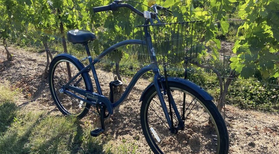 Niagara-on-the-Lake: Bicycle Tour with Wine Tasting - Is the $114 price good value?