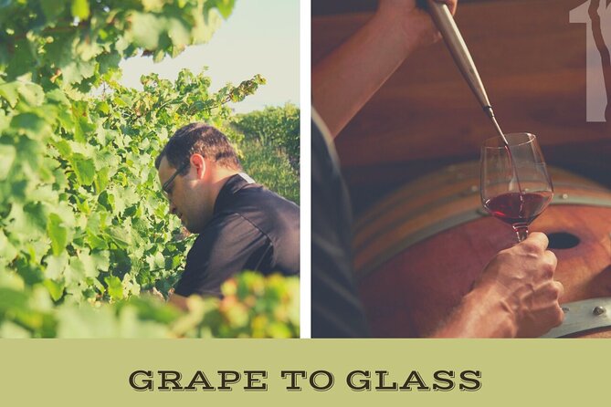 Niagara-on-the-Lake Grape to Glass Wine Experience - Key points to know before you book
