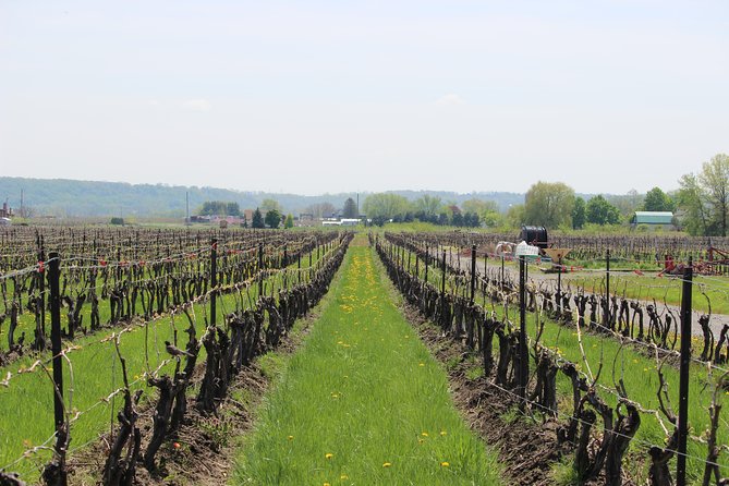 Niagara-on-the-Lake Grape to Glass Wine Experience - The guides make the difference