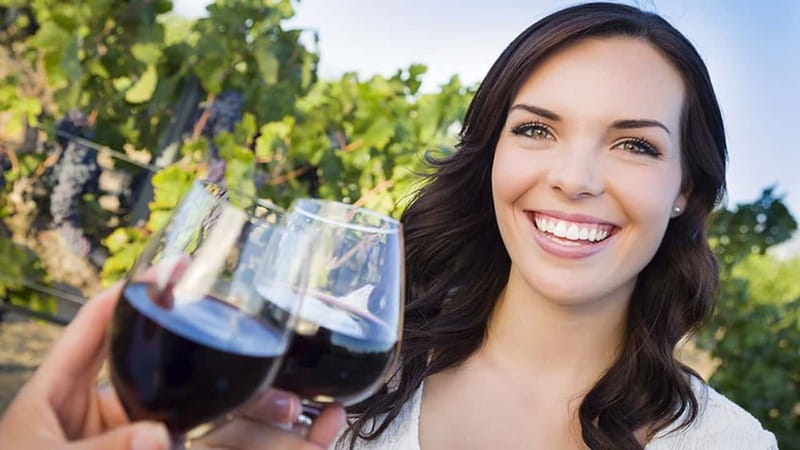 Niagara-on-the-Lake: Sunset Wine Tour with Dinner - Three wineries, three different tastes of Niagara
