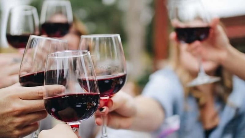 Niagara-on-the-Lake: Wine Tour with Tastings and Lunch - Three Wineries Across 5.5 Hours