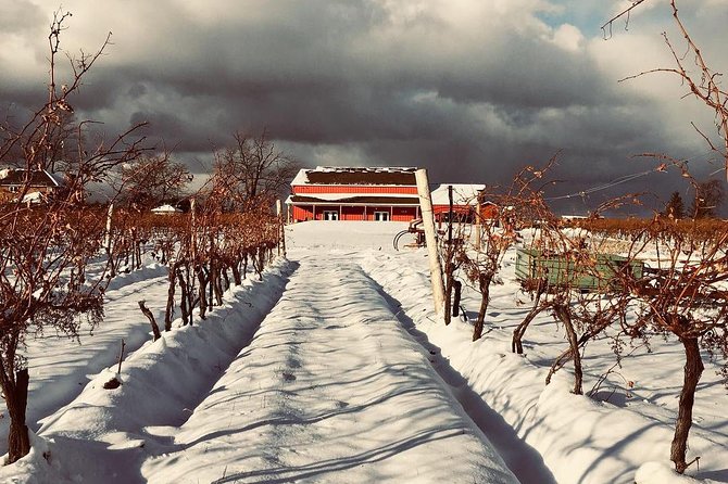 Niagara's Decadent Sparkling and Icewine Tasting - A Few Practical Drawbacks