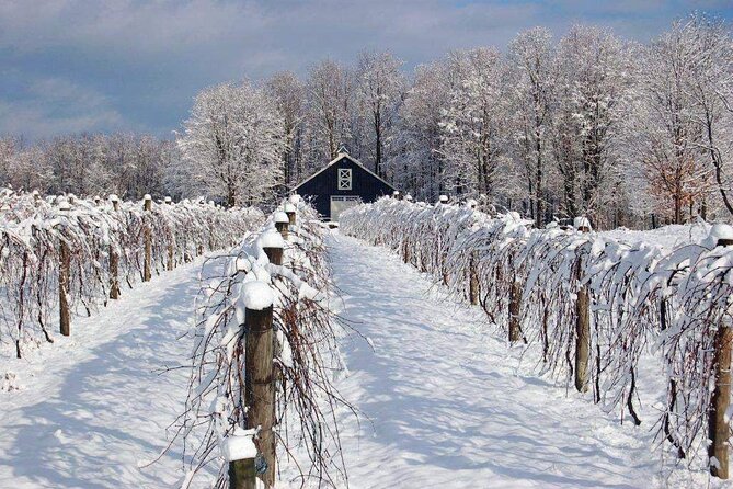Niagara Wine Tour and Tastings with Transportation - The guide often shapes the whole afternoon
