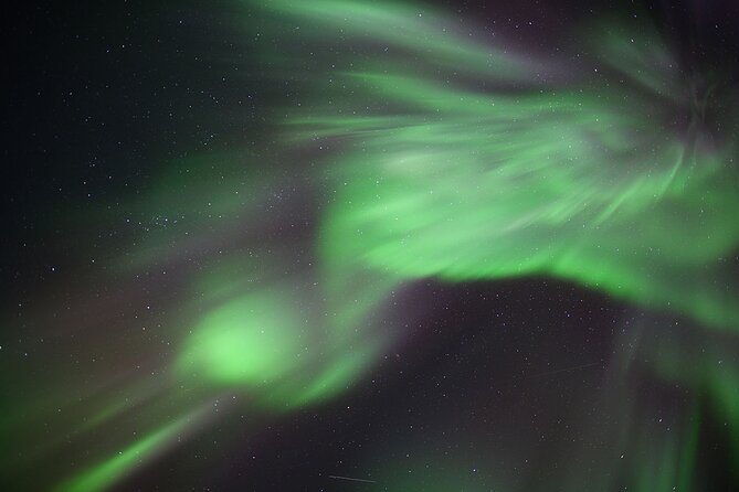 Northern Lights Tour Yellowknife - Free photos are a real part of the value