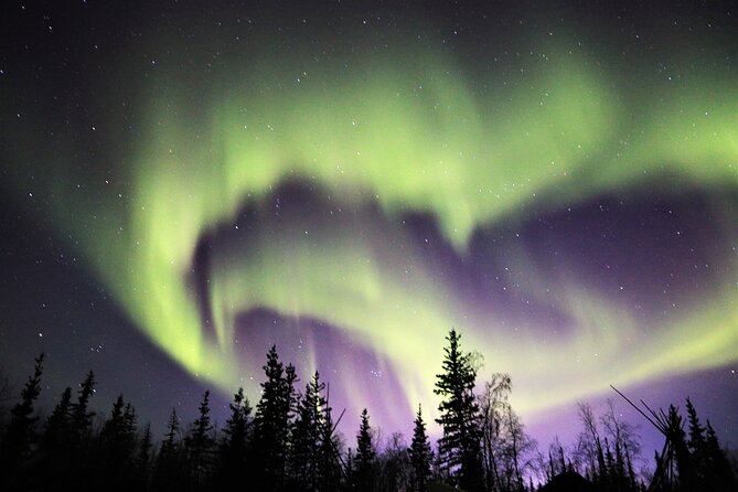 Northern Lights Tour Yellowknife - Hot drinks, cookies, and the cold reality