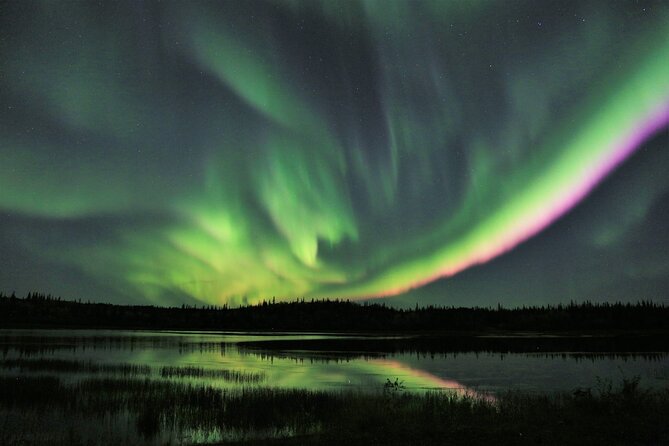 Northern Lights Tour Yellowknife - Is $74.35 a good price?