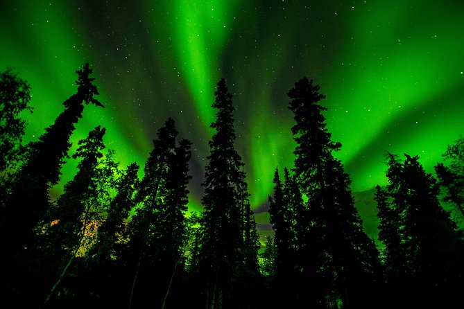 Northern Lights Tours - What happens at the viewing stops