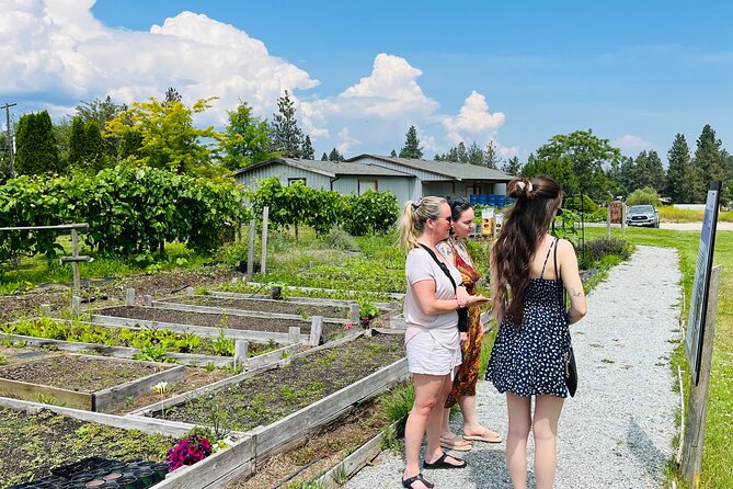Okanagan Bee Tour and Lunch at Winery in Kelowna - What the experience gets right, and where it is limited