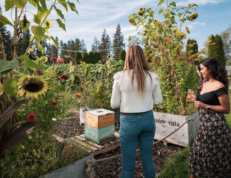Okanagan Bee Tour, Wine Tasting and Lunch at Kelowna Winery - Lawn games and the Okanagan setting
