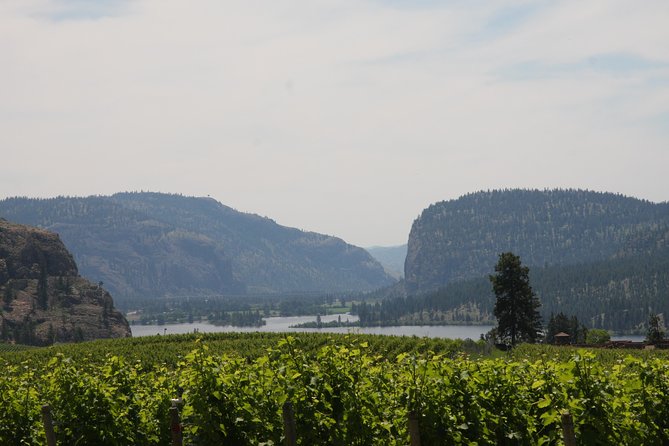 Okanagan Falls Private Wine Tour - Full Day - What the private vehicle adds
