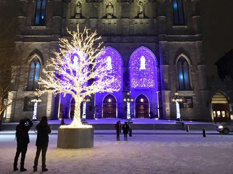 Old Montréal Small-Group Christmas Tour - Should you book the Old Montréal Christmas Tour?