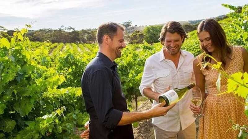 Ontario: Afternoon Wine Tour and Cheese Pairing - Key points at a glance