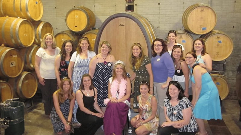 Ontario: Afternoon Wine Tour and Cheese Pairing - The cheese pairing is useful, but keep expectations modest