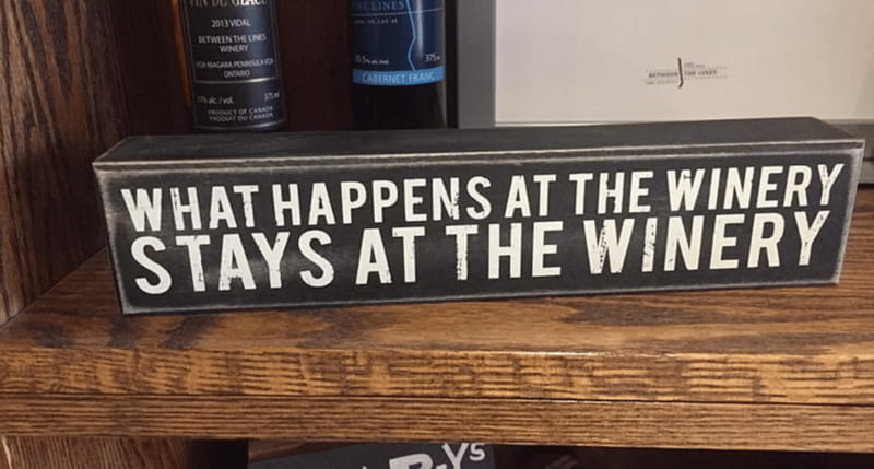 Ontario: Afternoon Wine Tour and Cheese Pairing - What the four-hour schedule feels like