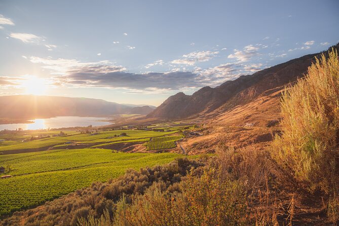 Osoyoos Half Day Wine Tour (Incl. Tasting Fees & Guide Gratuity!) - Four stops, four different tastes of Osoyoos wine country
