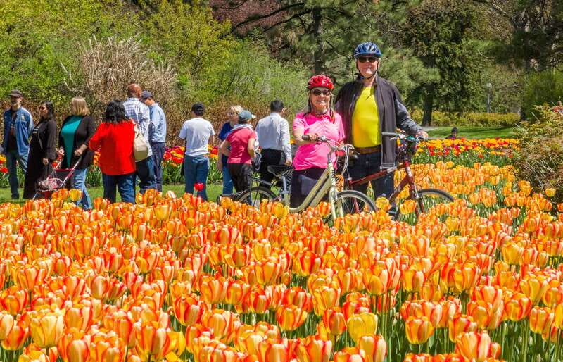 Ottawa: 2 or 3.5-Hour Guided Bike Tour with a Local Guide - Parliament Hill and the formal capital