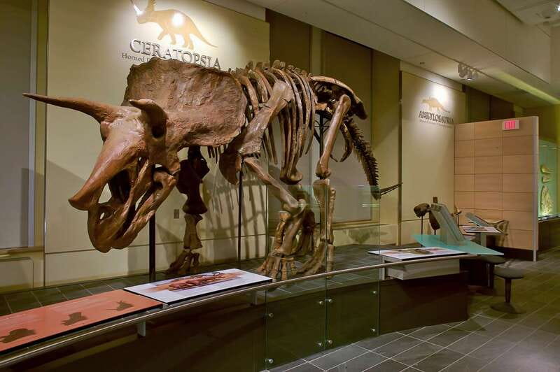 Ottawa: Canadian Museum of Nature Admission - Minerals, gems, water, and Earth