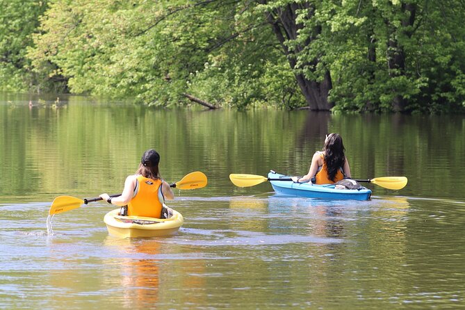 Ottawa: Ecological Reserve Kayak Tour with Turtle Sightings - Quick reasons to choose this kayak outing