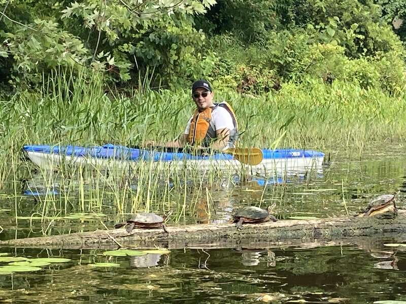 Ottawa: Ecological Reserve Kayak Tour with Turtle Sightings - Should you book this Ottawa kayak tour?