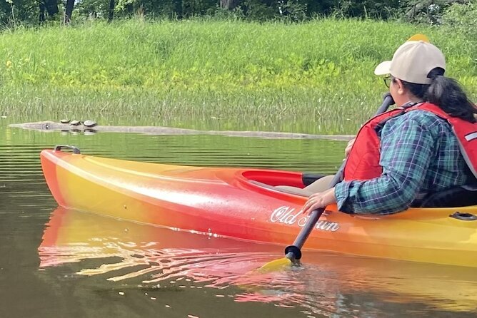 Ottawa: Ecological Reserve Kayak Tour with Turtle Sightings - Paddling the calm inlets